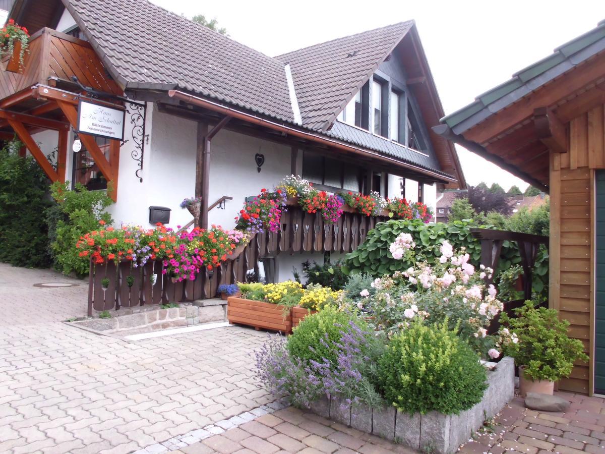 Apartmenthaus - Haus Am Schultal, Braunlage Exterior photo